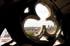 Blick durch die Maßwerkrose